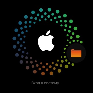 iPhone завис на «Вход в систему» - почему и что делать?