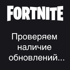 Fortnite завис на «Проверяем наличие обновлений» - что делать? Личный опыт!
