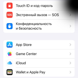 На экране iPhone появилось черное пятно - что это и как убрать?